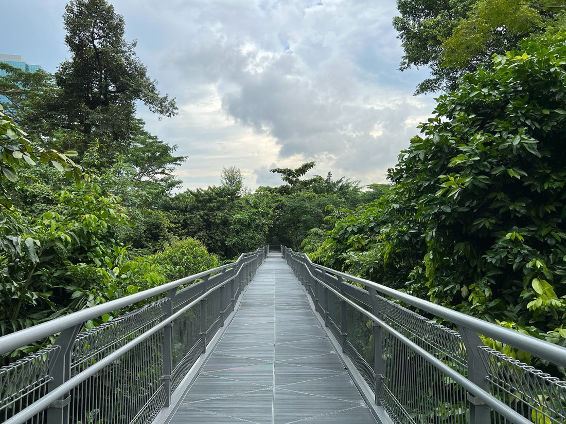 5 Hidden Gems In Singapore You Can’t Miss