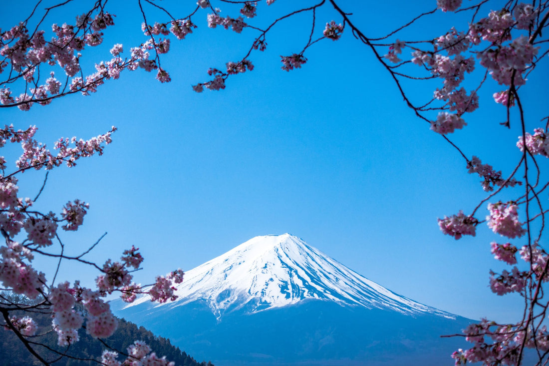 6 Best Things You Must Do In Japan