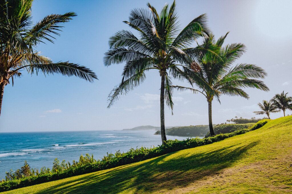 Travel-To-Hawaii-Like-A-King-And-Queen-King-Sims-Travel-Sims-For-Hawaii-zane-persaud-unsplash