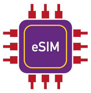 e-SIM-King-Sims-Ico